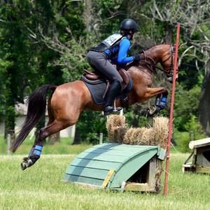 Meet your Posher, Libby